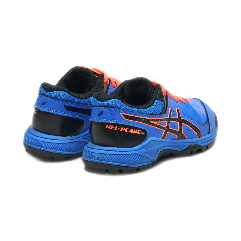 Asics Gel-Peake Gs Junior Hockey Shoes Sport Shoes Leather Blue Colour For Kids